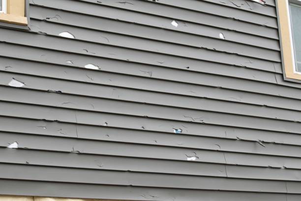 Best Historical Building Siding Restoration  in Beach City, TX